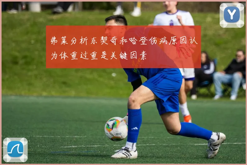 弗莱分析东契奇和哈登伤病原因认为体重过重是关键因素